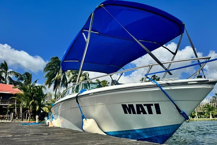 Bayliner Boat Tour of Bacalar Lagoon: Swim Cenotes & See Stromatolites photo 5
