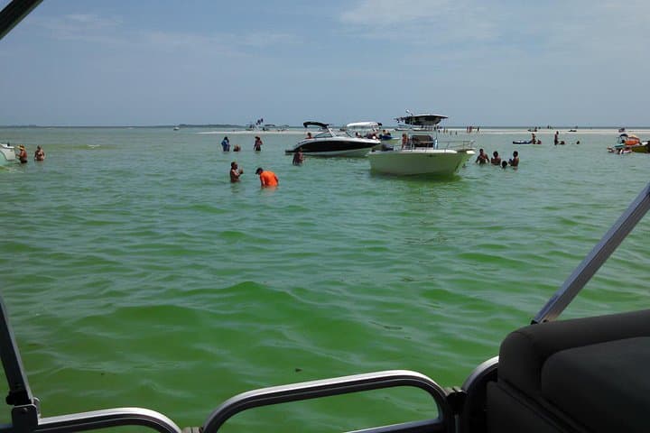 Private Sandbar Party Charter in St. Pete — Sandbar Cruise from Tierra Verde photo 4