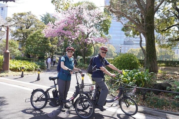 Tokyo Imperial Palace E‑Bike Tour — 2‑Hour Private Guided Ride photo 3