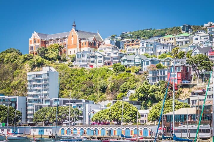 Wellington Mount Victoria Hike — Guided Climb, Filming Sites & Oriental Bay Walk (2.5 hrs) photo 2