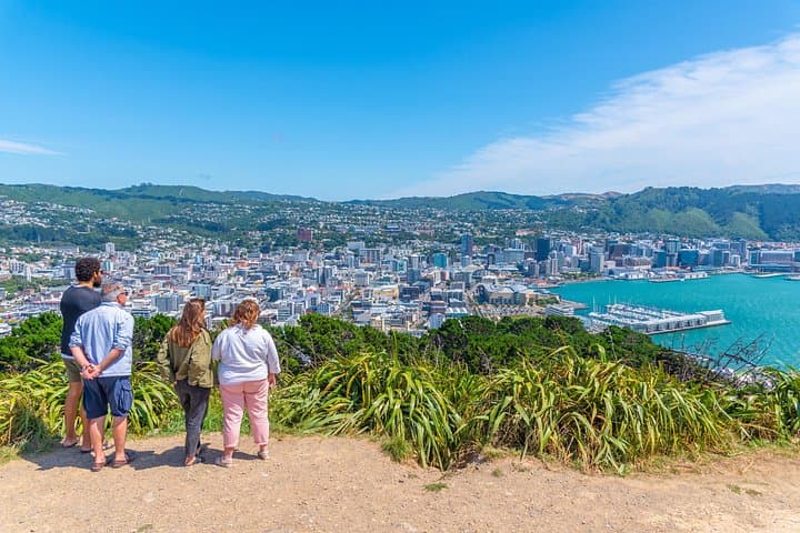 Wellington Mount Victoria Hike — Guided Climb, Filming Sites & Oriental Bay Walk (2.5 hrs) photo 1
