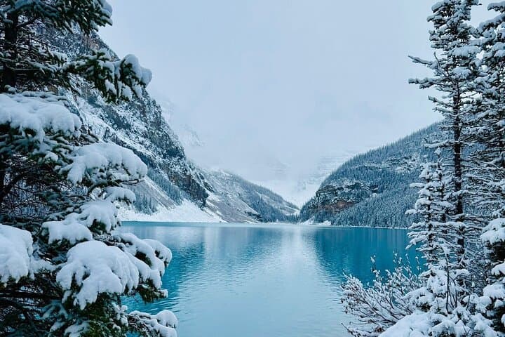 Iconic Lakes and Johnston Canyon Day Tour — Lake Louise, Moraine & Emerald photo 5