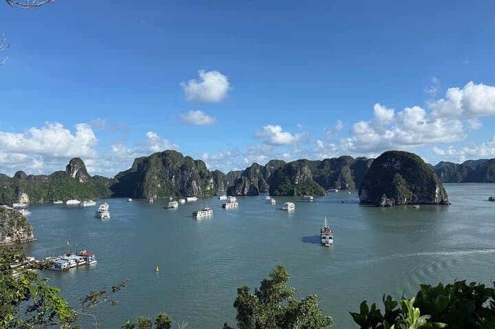 Halong Bay Discovery Day Cruise from Cai Lan: Titov Island, Sung Sot & Kayaking photo 3