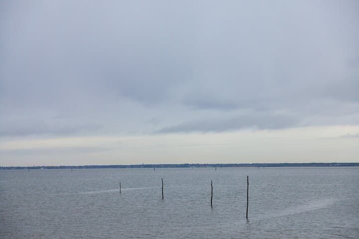 Bordeaux to Dune du Pilat: Arcachon Bay Day Trip Guide photo 5