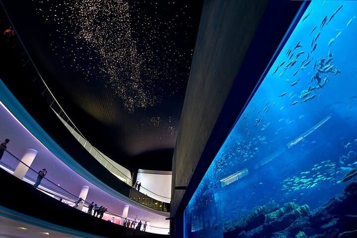 Dubai Aquarium & Underwater Zoo: Tunnel Walks, Penguins & Family Tips photo 3