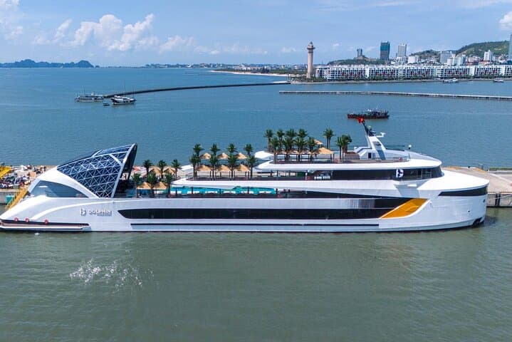 Halong Bay Dolphin Day Cruise: Luxury Day Trip with Pool, Kayaking & Caves photo 5