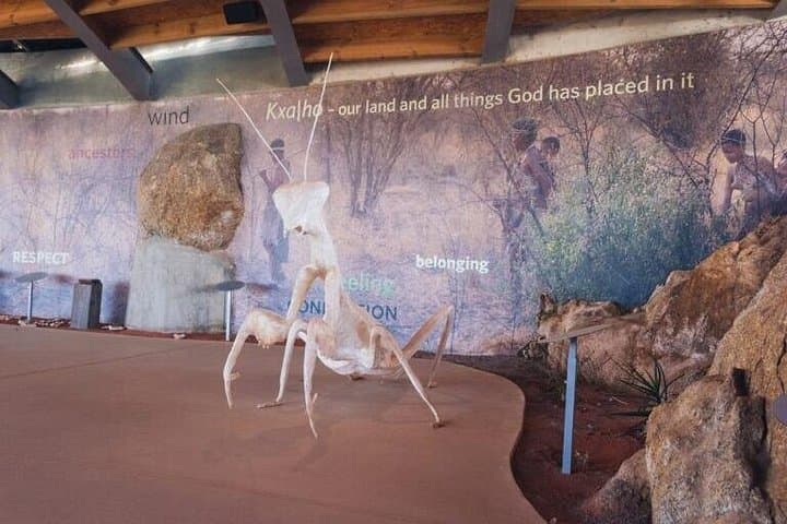 Khwa Ttu San Cultural Tour from Cape Town — San Tracking, Storytelling & 3‑Course Meal