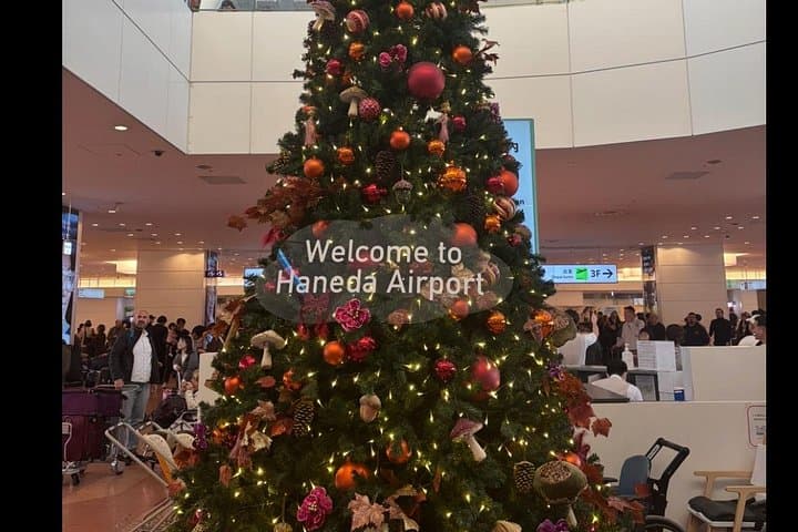 Haneda Airport Private Transfer: Luxury Meet-and-Greet to Tokyo Hotels photo 1
