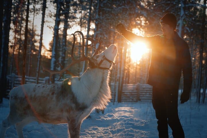 Reindeer Feeding Experience in Levi — Authentic Sámi Farm Visit & Photo Opportunity