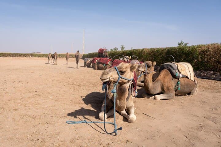 Agafay Desert Adventure: Quad Bike, Camel Ride & Berber Dinner Near Marrakech photo 3