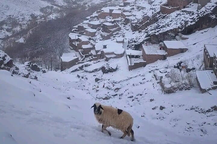 Atlas Mountains 2-Day Trek: Imlil Valley to Tawdja Summit (2,700 m) photo 3