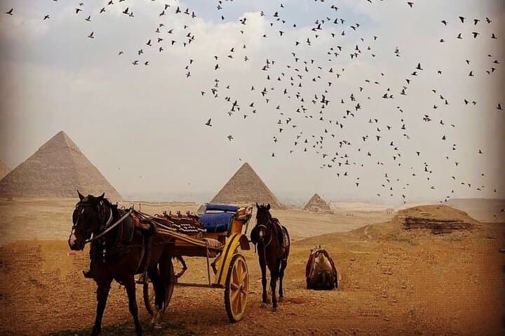 Ride Through Time: Giza Pyramids Camel and Horse-Drawn Carriage Tour