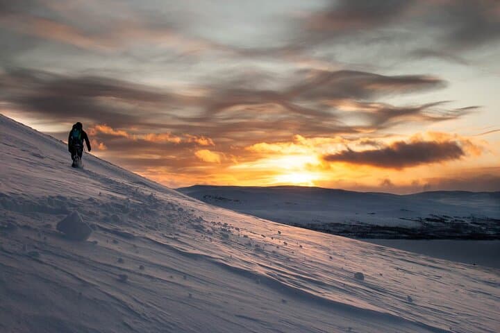 Guided Snowshoeing on Kesänki Fell: Ylläs Winter Trek