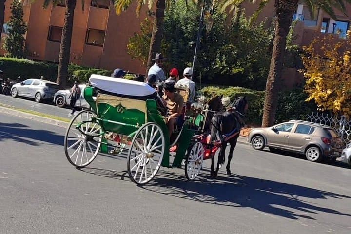 Marrakech Horse Carriage Tour: Guided Medina & Koutoubia Sights in One Hour photo 2