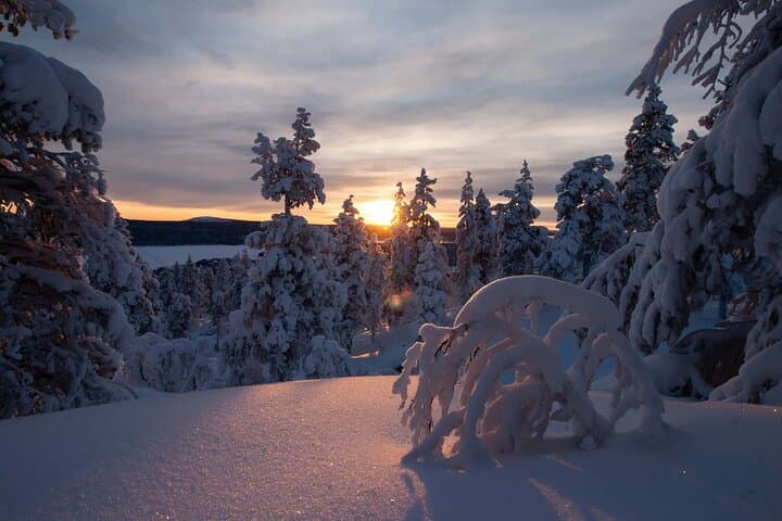 Guided Snowshoeing on Kesänki Fell: Ylläs Winter Trek photo 2