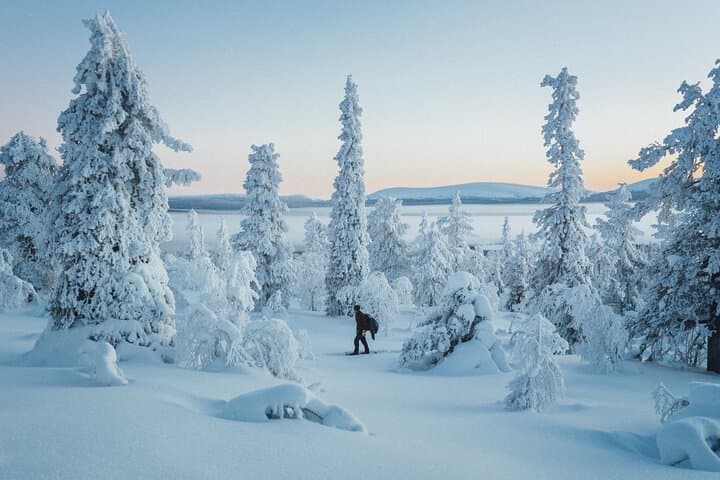 Guided Snowshoeing on Kesänki Fell: Ylläs Winter Trek photo 5