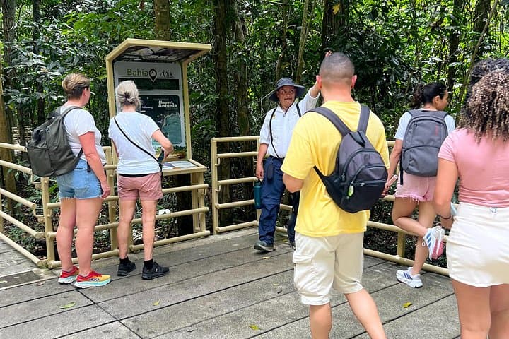 Manuel Antonio National Park Day Trip from San José — Beach, Wildlife & Rainforest photo 2