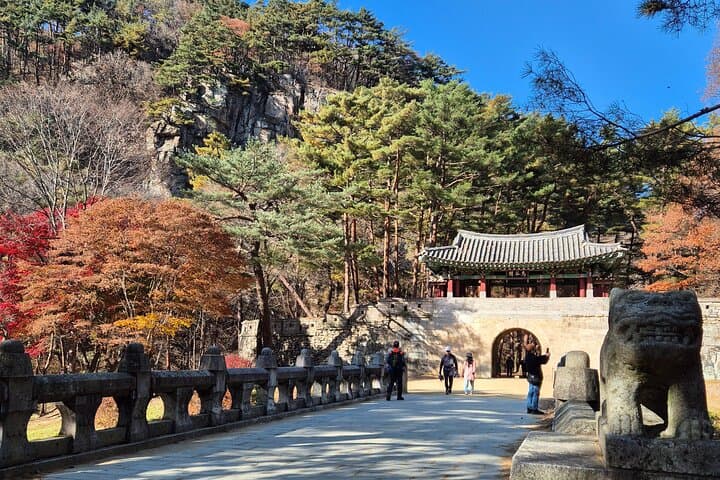 Mungyeong Eco Hiking Day Tour: Saejae Pass, Doline Wetlands & Eco Valley