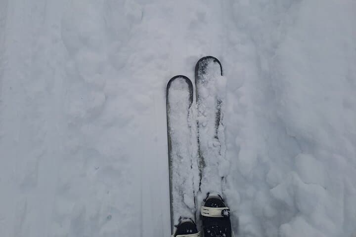 Glide Ylläs: Guided Nordic Skiing in Lapland Wilderness photo 3