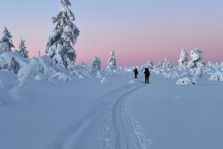 Glide Ylläs: Guided Nordic Skiing in Lapland Wilderness photo 5