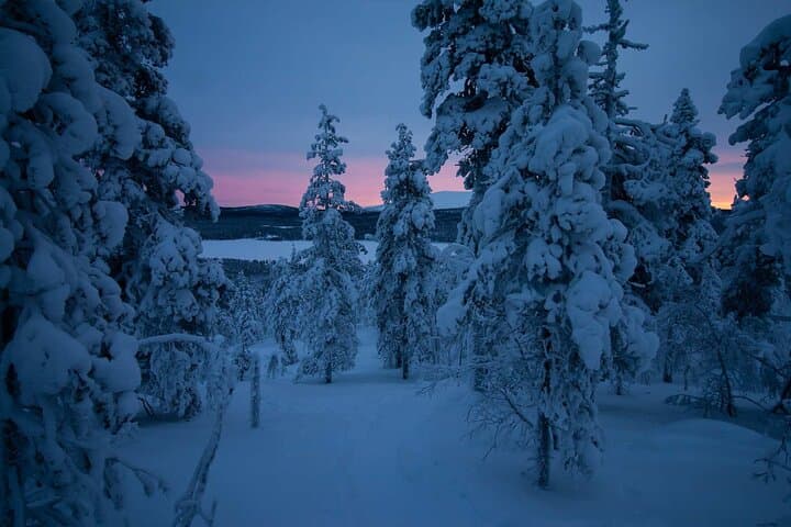 Glide Ylläs: Guided Nordic Skiing in Lapland Wilderness photo 6