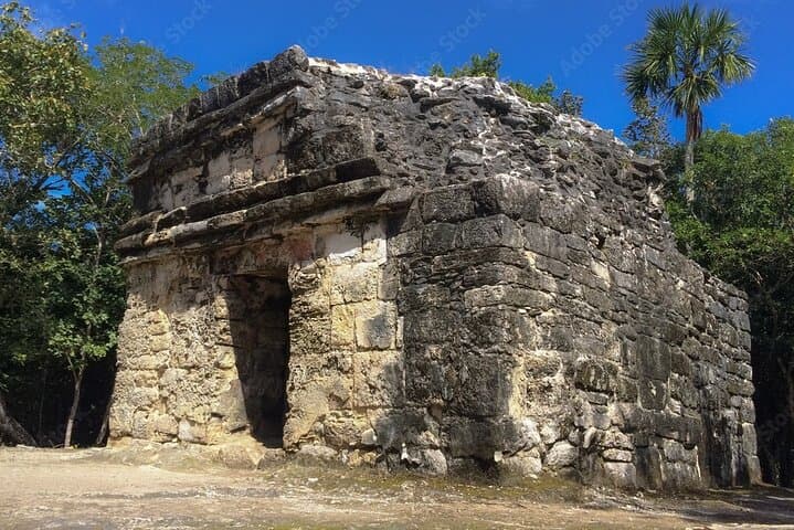 Cozumel Cenote and San Gervasio Ruins Tour with Tequila Tasting photo 5