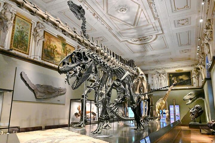 Natural History Museum Vienna Entry Tickets — Visitor Guide & Practical Tips photo 4