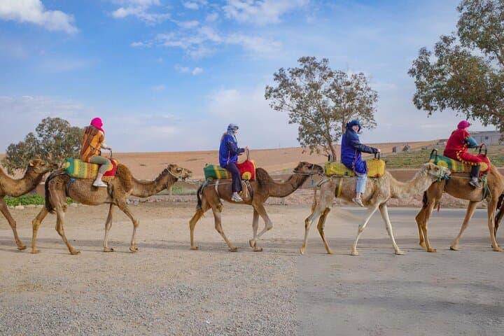 Agafay Desert Tour: Camel Trek, Quad Biking & Berber Dinner from Marrakech photo 5