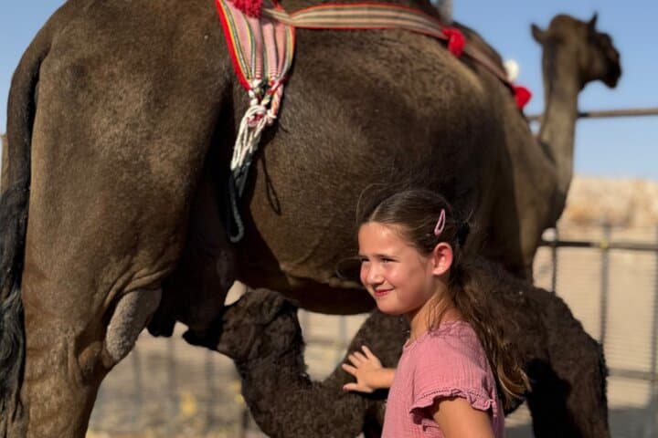 Empty Quarter Desert Safari from Salalah: Frankincense, Camels & Sunset Dinner photo 3