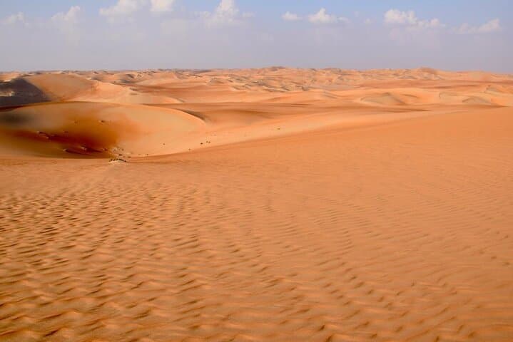 Liwa Desert Full-Day Safari: Explore the Rub Al Khali and Moreeb Dune