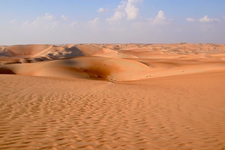Liwa Desert Full-Day Safari: Explore the Rub Al Khali and Moreeb Dune photo 4