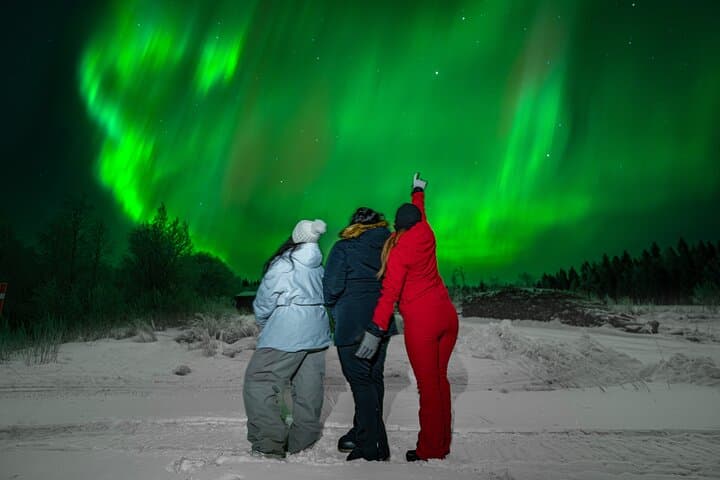 Guaranteed Northern Lights Tour in Rovaniemi — Aurora Bus with Photos photo 3