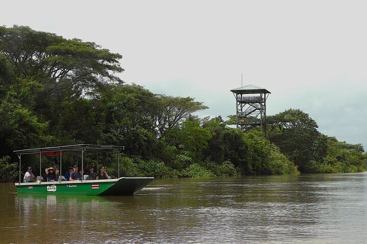 Private Caño Negro Boat Safari: 3-Hour Río Frío Wildlife Cruise photo 6