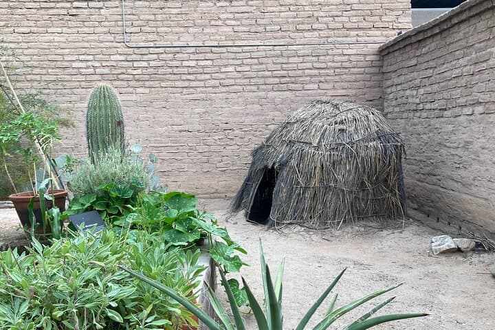 Presidio Museum Tucson Admission — Visitor Guide to Presidio San Agustin photo 2