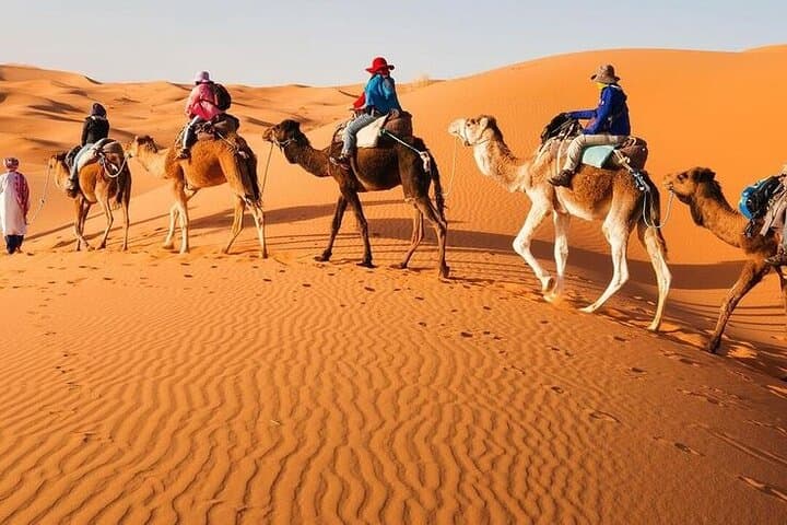 3-Day Merzouga Sahara Desert Tour from Marrakech — Camel Rides & Overnight Camp photo 5