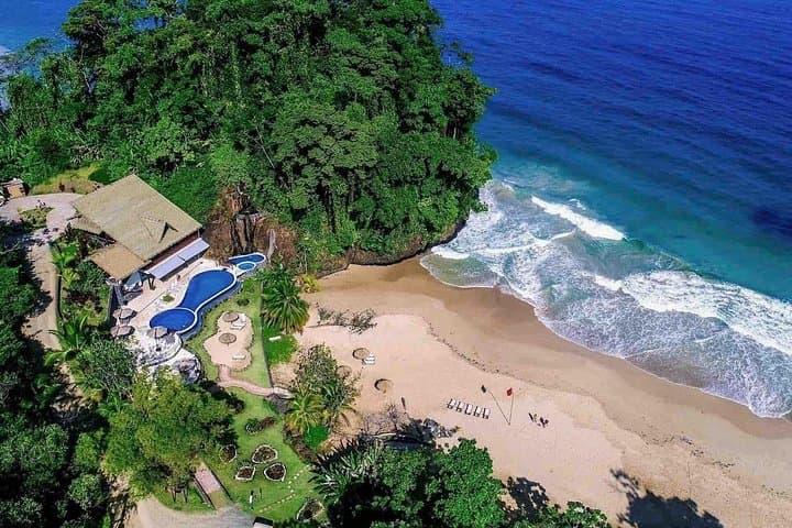 Bocas Del Toro Dolphin Bay, Chocolate Farm & Coral Garden Snorkel — Full-Day Tour