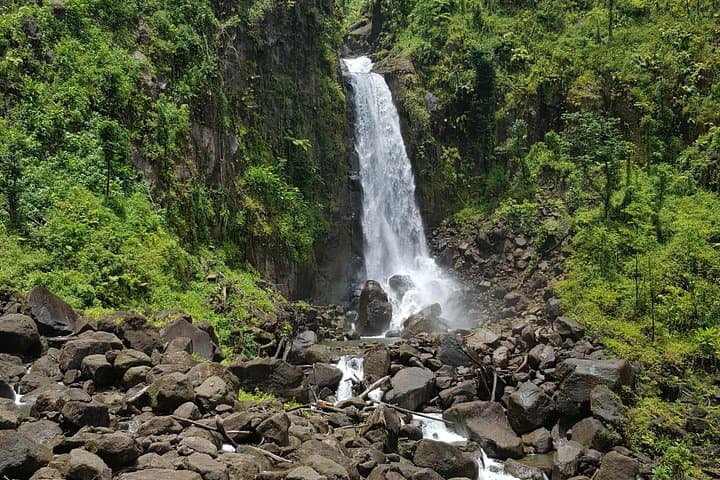 Roseau Valley: Freshwater Lake, Titou Gorge & Trafalgar Falls Day Tour photo 2