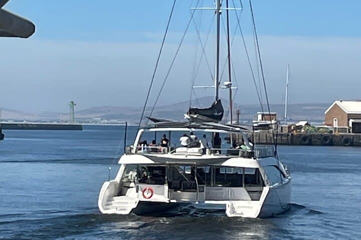 Cape Town Day Sail: Eco Ocean Safari with Table Mountain Views photo 6