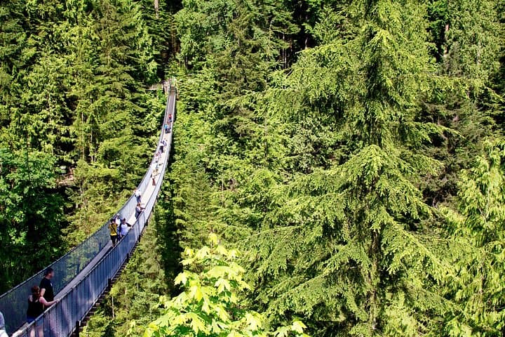Half-Day Vancouver Tour — Capilano Suspension Bridge, Stanley Park & Granville Island photo 3