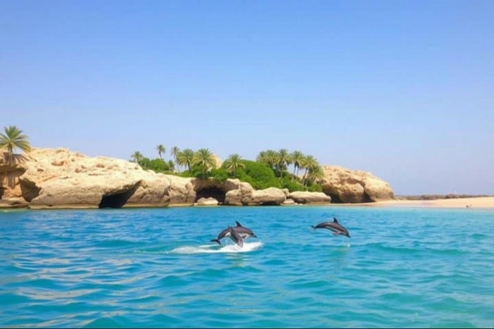 Salalah Dolphin-Watching Cruise: 2-Hour Boat Tour from Salalah Marina photo 4