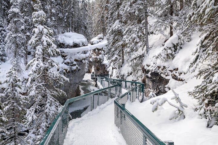 Private Banff Day Tour: Moraine Lake, Lake Louise & Icefields Parkway photo 4