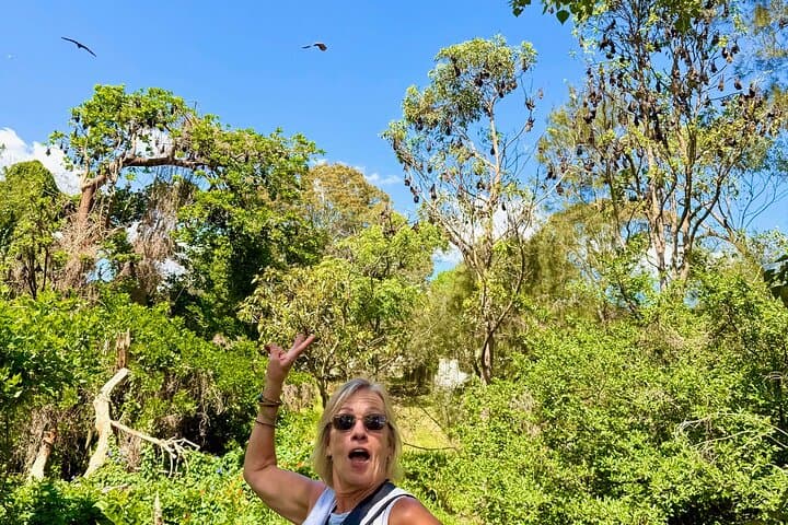 Sydney Flying-Fox Experience: See Thousands of Australia's Largest Bats Up Close