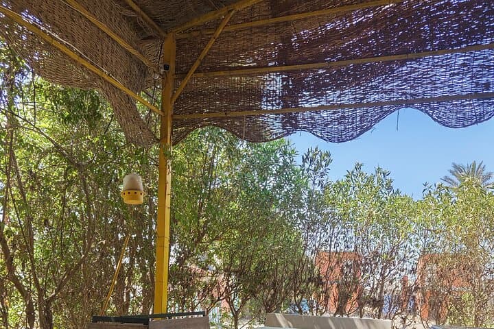 Cairo Farm Immersion: Pottery, Baladi Bread & Countryside Activities