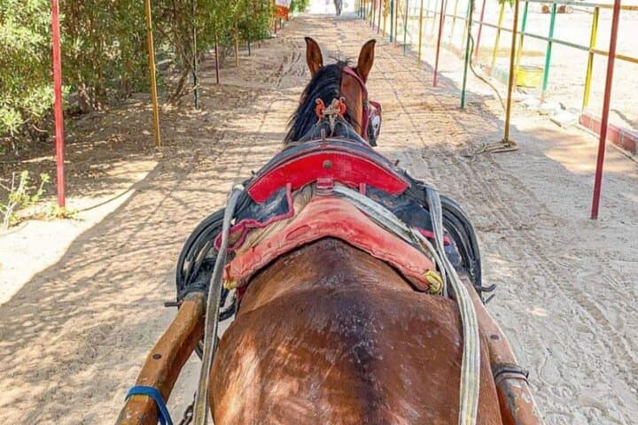 Cairo Farm Immersion: Pottery, Baladi Bread & Countryside Activities photo 5