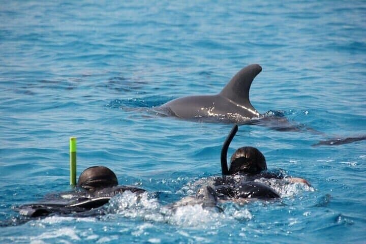 Hurghada Dolphin House Full-Day Snorkeling Cruise with Buffet Lunch photo 5