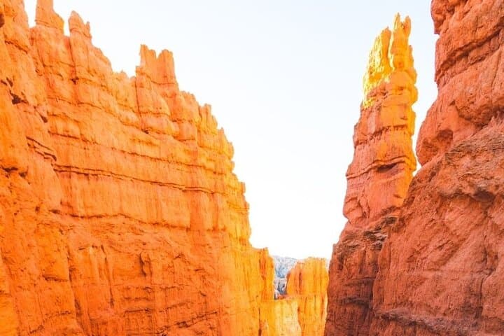 6-Night Yellowstone, Zion & Bryce Canyon Adventure with Lodging photo 5