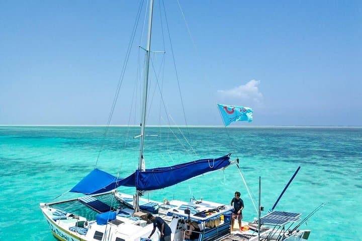 Private Catamaran to Mnemba Atoll: Full-Day Snorkel, Dolphins & Swahili Lunch photo 2