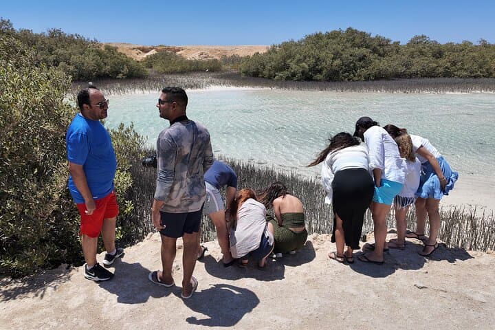 Explore Ras Mohammed National Park by Bus: Snorkeling & Magic Lake Experience photo 5