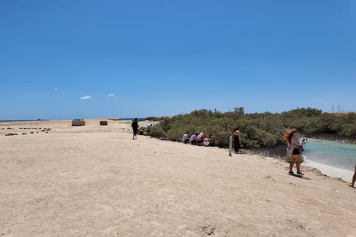 Explore Ras Mohammed National Park by Bus: Snorkeling & Magic Lake Experience photo 6