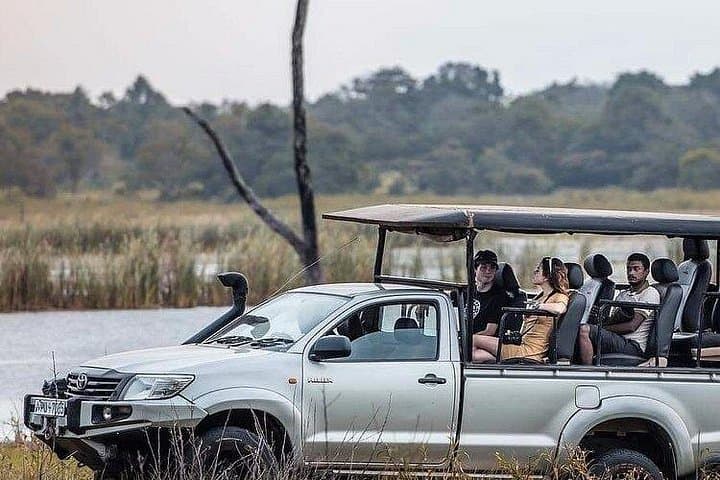 Yala National Park Jeep Safari: Full- and Half-Day Guide to Leopard Country photo 4